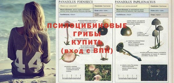 круглые Майский
