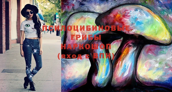 мяу мяу мука Баксан
