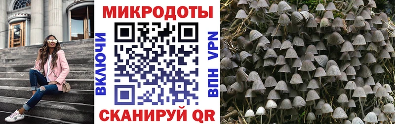 Галлюциногенные грибы Psilocybe  цены   Бор 